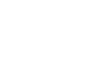 Legion Security